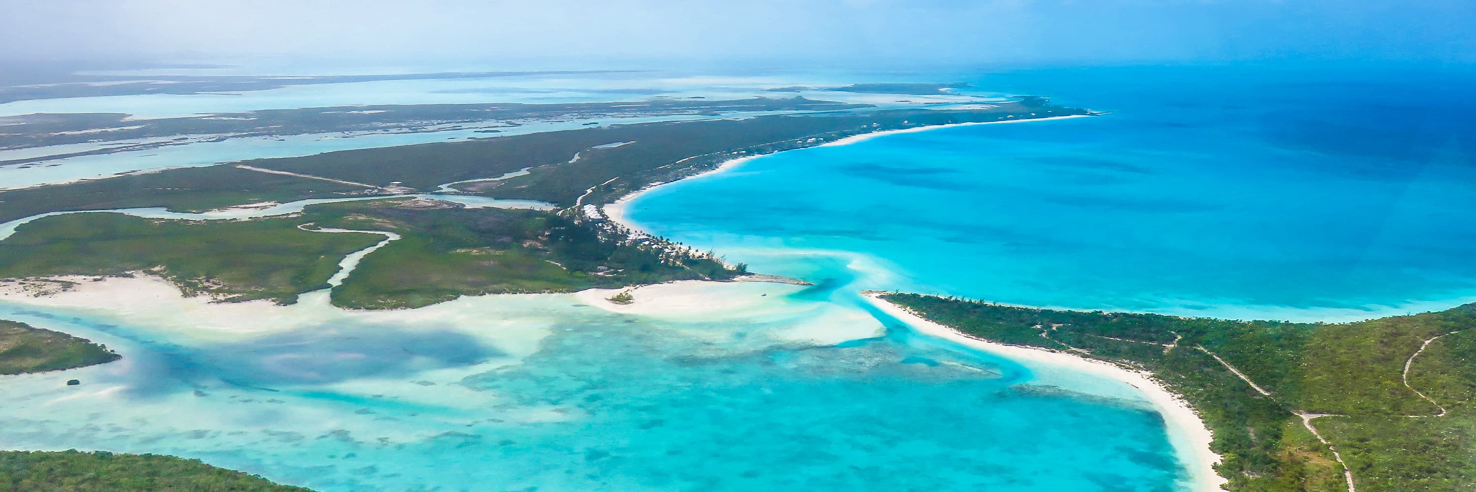 Vacation in Paradise